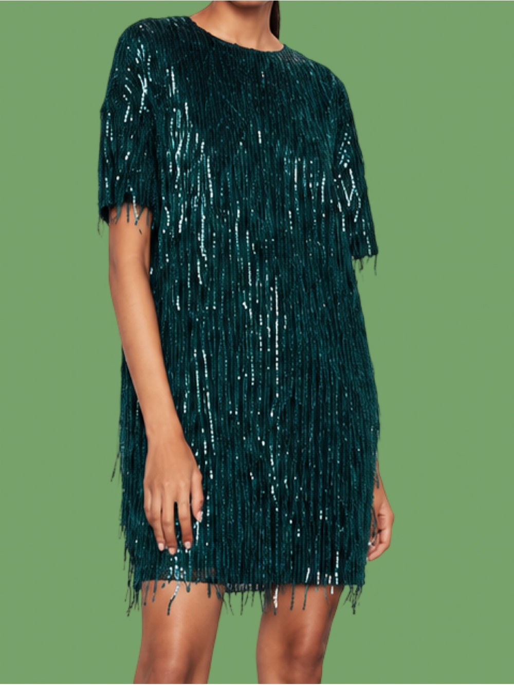 Zara Sequin Fringe Mini Dress